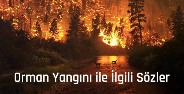 Orman Yangını ile İlgili Sözler